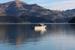 Akaroa - Bay