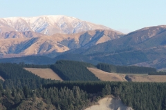 auf dem Weg nach Aoraki