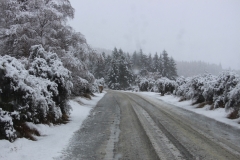 Schneeeinbruch am 18. Juni