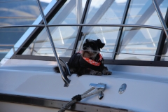 In Akaroa habe ich einen Cruise mitgemacht - das war unser Skipper =)