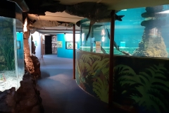 Das ist "the national kiwi centre" - selten so was Trostloses besucht!