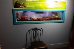 sag ich doch: trostlos! Und das in einem Land, welches sich für Nachhaltigkeit und Umweltschutz rühmen mag....