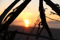 Sonnenuntergang in Westport