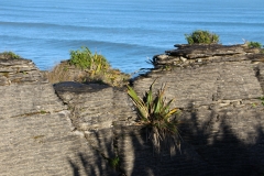 Pancake rocks