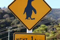 leider noch keinen über die Straße wackeln gesehen