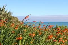 immer wieder bunte Hingucker