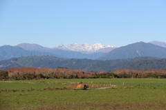 Da sind sie endlich! Die südlichen Alpen