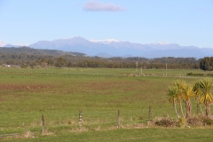 Palmen und Schnee in einem Bild
