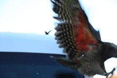 Auf gehts Richtung Spiegel!