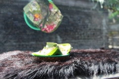 Vishnu wird um sichere Fahrt gebeten