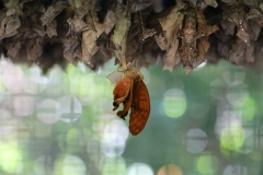 ... 5 Minuten später; in zwei Stunden wird er fliegen :-)