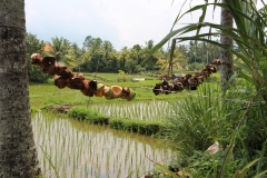 Kokos-Deko am Reisfeld