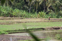 hartes Pflügen mit der Hand
