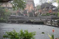 endlich kommt der Regen