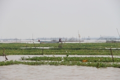 Fischer bei der Arbeit