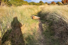 denen sollte man nicht zu nah kommen