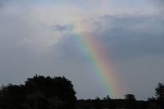 ...waren Tage voller Regenbögen