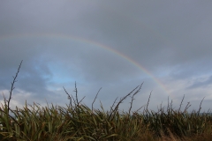 und noch ein Regenbogen =)