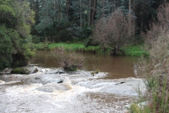 Niagarafälle - hier gibt es wirklich viele Wasserfälle und dieser hat seinem Namen einem humorvollen amerikanischen Einwanderer zu verdanken