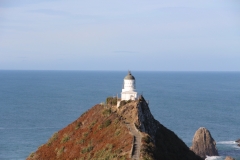 Leuchtturm am Nugget point