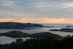 Blick vom Schlossturm auf den Hafen Dunedins