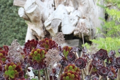 für Pflanzenliebhaber