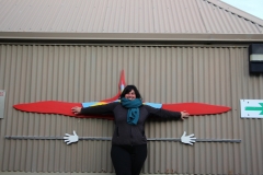 das rote ist die Flügelspanne von Albatrossen