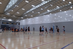 Netball-Spiel in Wellington