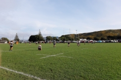 Rugby-Spiel in der Nähe von Wellington