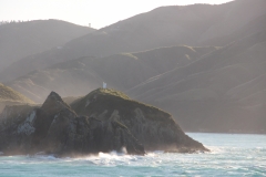 Nordküste der Südinsel