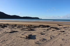 Strand an der Eastcoast