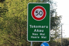 An der Eastcoast leben vor allem Mardypeople. Deswegen finden sich alle offizillen Schilder in Maori.