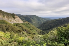 Auf der Fahrt von Lake Wairarapa nach Wellington