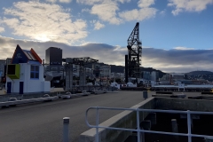 Hafen Wellington