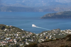 Fähre legt in Wellington ab