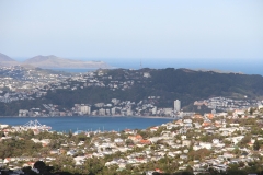 Blick auf Wellington
