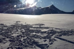 Franz Josef Gletscher