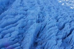 Fox Glacier