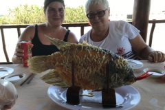 Der Elefantenohrfisch, Vicy & ich