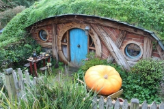 Riesenkürbis, der im ersten Teil der Herr der Ringe Trilogie auch mitspielen darf.