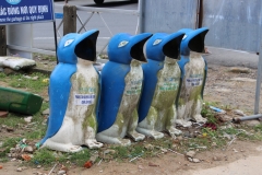 Pinguine in Vietnam