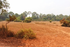 Warten auf den Regen