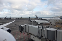 Warten auf Touristen...