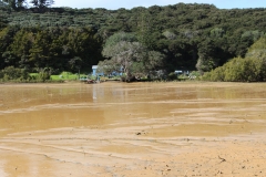 Ebbe in den Mangroven - auch hier: voller Matsch.