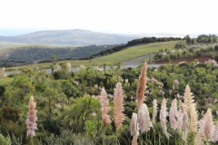 Überlandfahrt von Stillwater nach Cape Reinga
