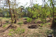 Massengrab auf dem Killing field Choeung Ek