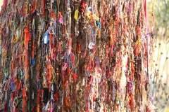 Gedenkstätte am "Todesbaum"