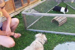 Rumo meets old friends