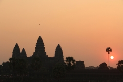 Sonnenaufgang in Angkor Wat