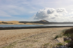 Sandy Bay auf dem Weg zu Tane Mahuta